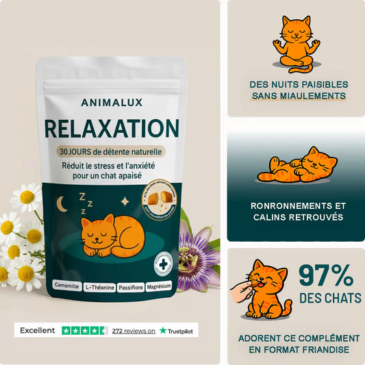 Friandises Relaxation