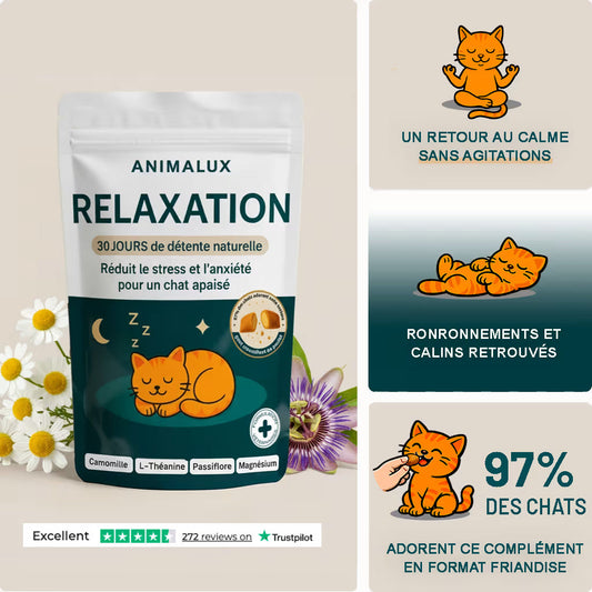 Complément Relaxation