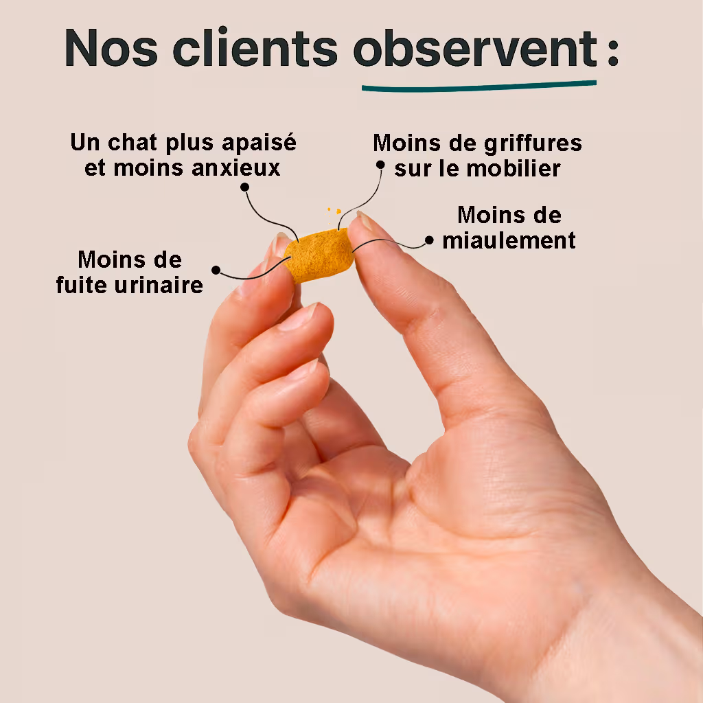 Compléments - Relaxation