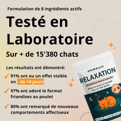 Compléments - Relaxation