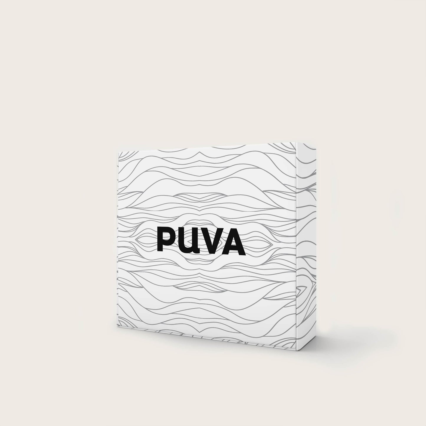 Pack 1 an de filtration Puva