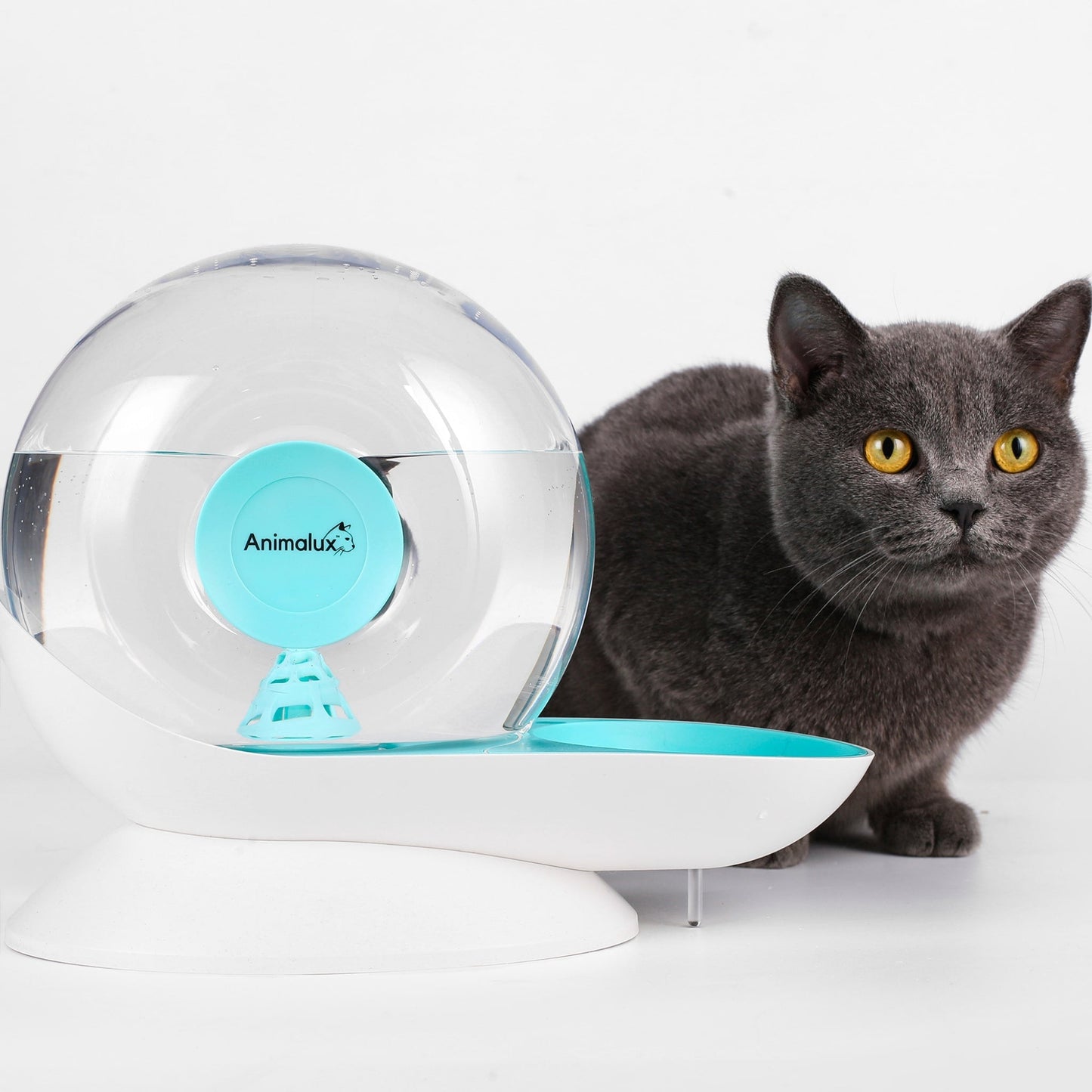 Fontaine a Eau Chat Aquafons Bleu Animalux, Packshot #couleur_bleu givre