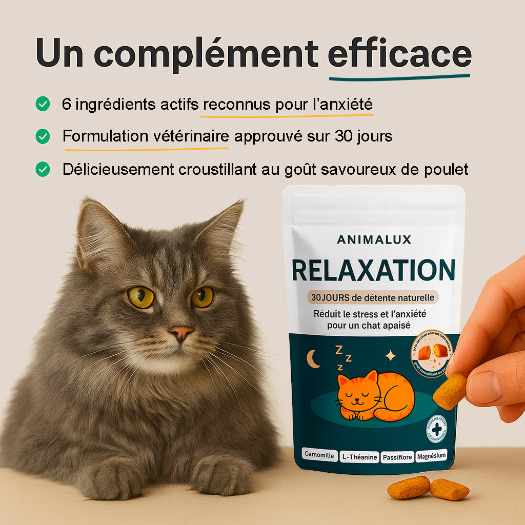 Pack AquaFons + Relaxation