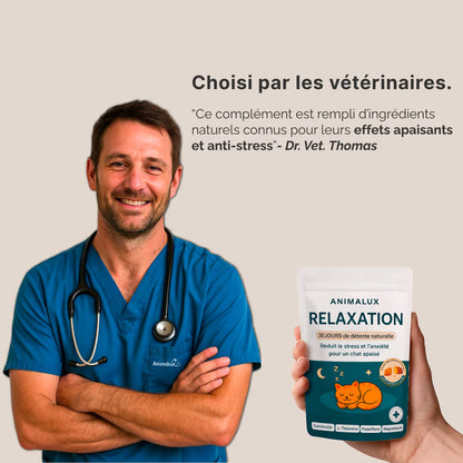 Compléments - Relaxation