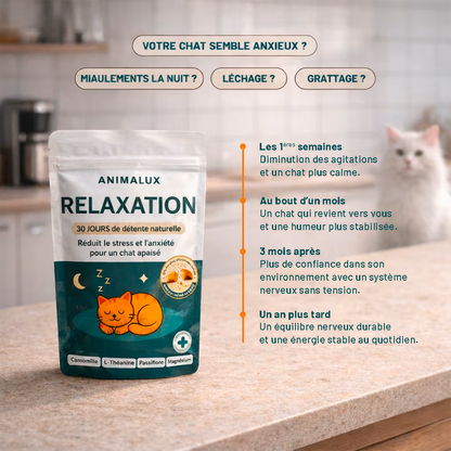 Compléments - Relaxation